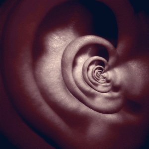 david lynch ear blue velvet 26gs7e0hbzulhorvc