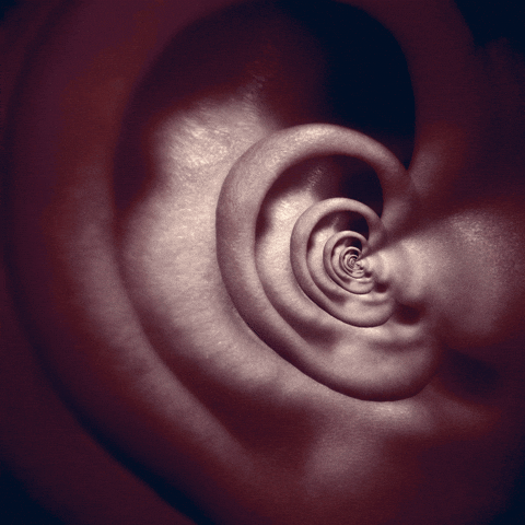 david lynch ear blue velvet 26gs7e0hbzulhorvc